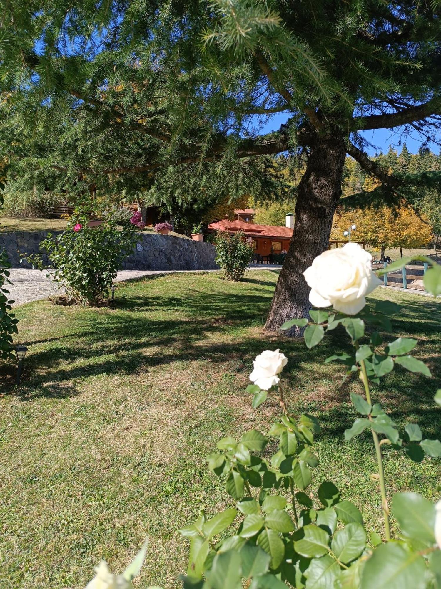 Livadaki Village Megali Kapsi エクステリア 写真