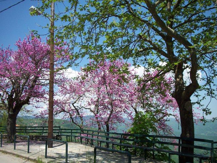 Livadaki Village Megali Kapsi エクステリア 写真