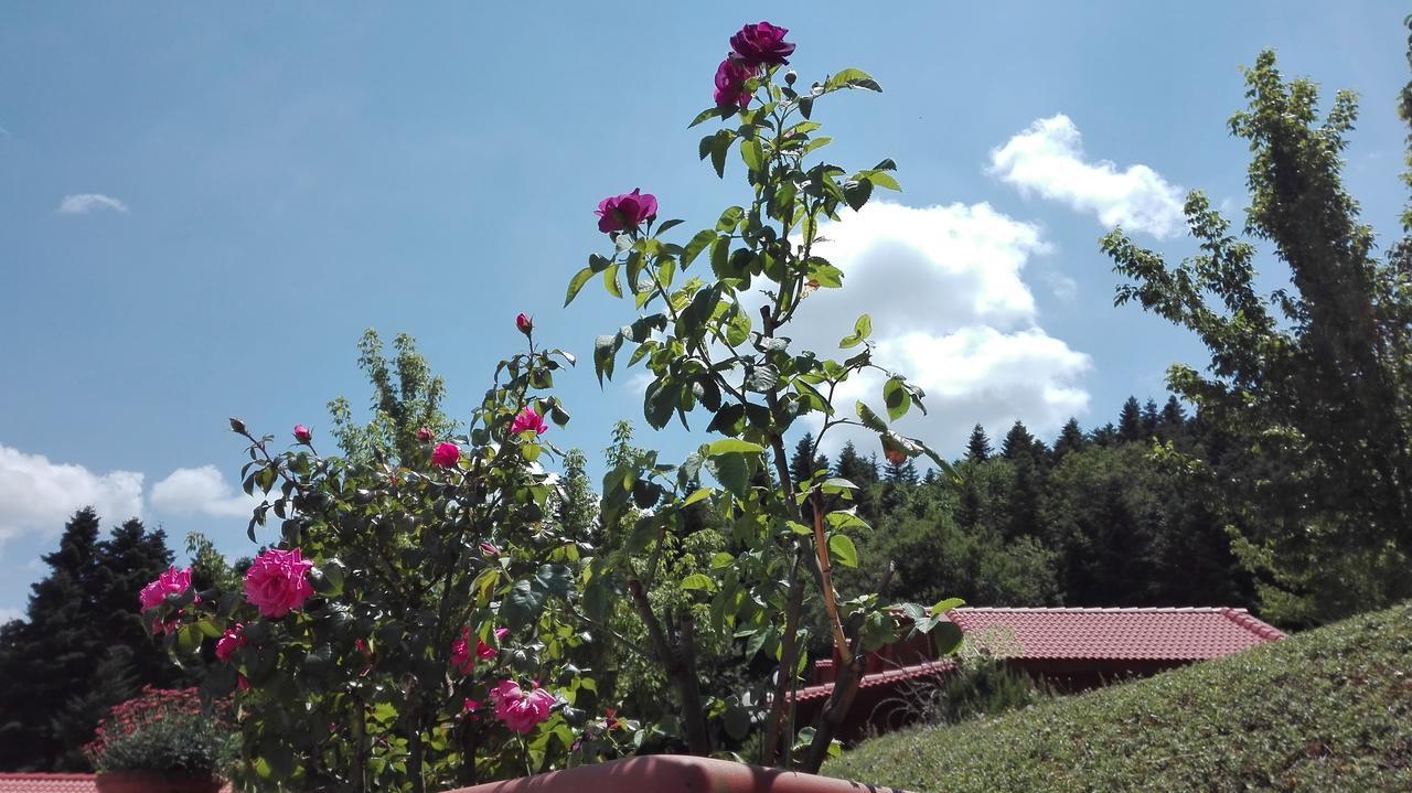Livadaki Village Megali Kapsi エクステリア 写真